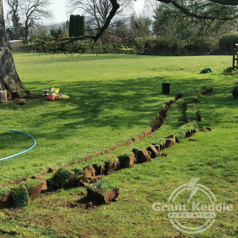 Projects-Cedar-Tree-01 Grant Keddle Electrical - Cedar Tree Feature Lighting