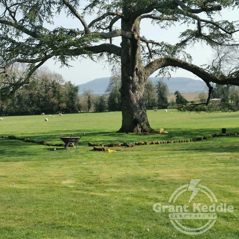 Projects-Cedar-Tree-05 Grant Keddle Electrical - Cedar Tree Feature Lighting